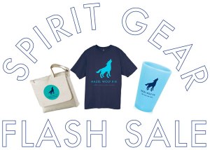 spirit-gear-flash-sale-web