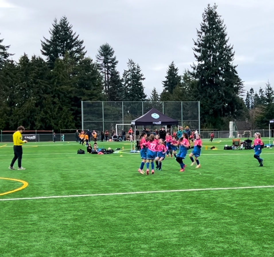 Lightning Lions teammates storm field to celebrate victory.